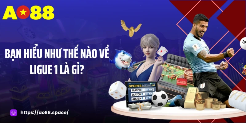Bạn hiểu như thế nào về Ligue 1 là gì?