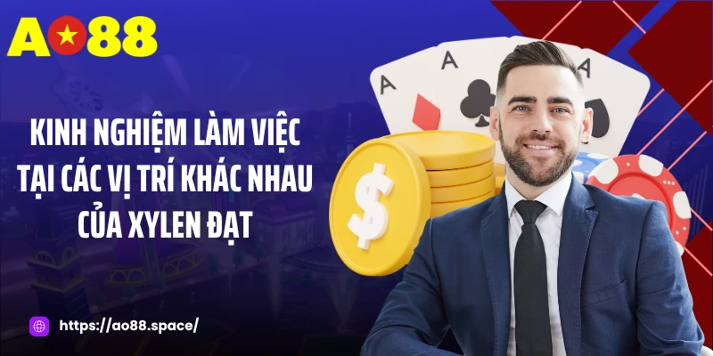Kinh nghiệm làm việc tại các vị trí khác nhau của Xylen Đạt